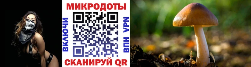 купить наркоту  Удачный  Псилоцибиновые грибы мухоморы 
